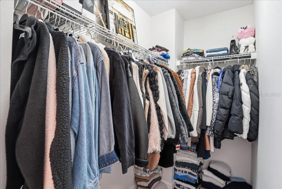 7860 ATWOOD DR, WESLEY CHAPEL, FL, 33545