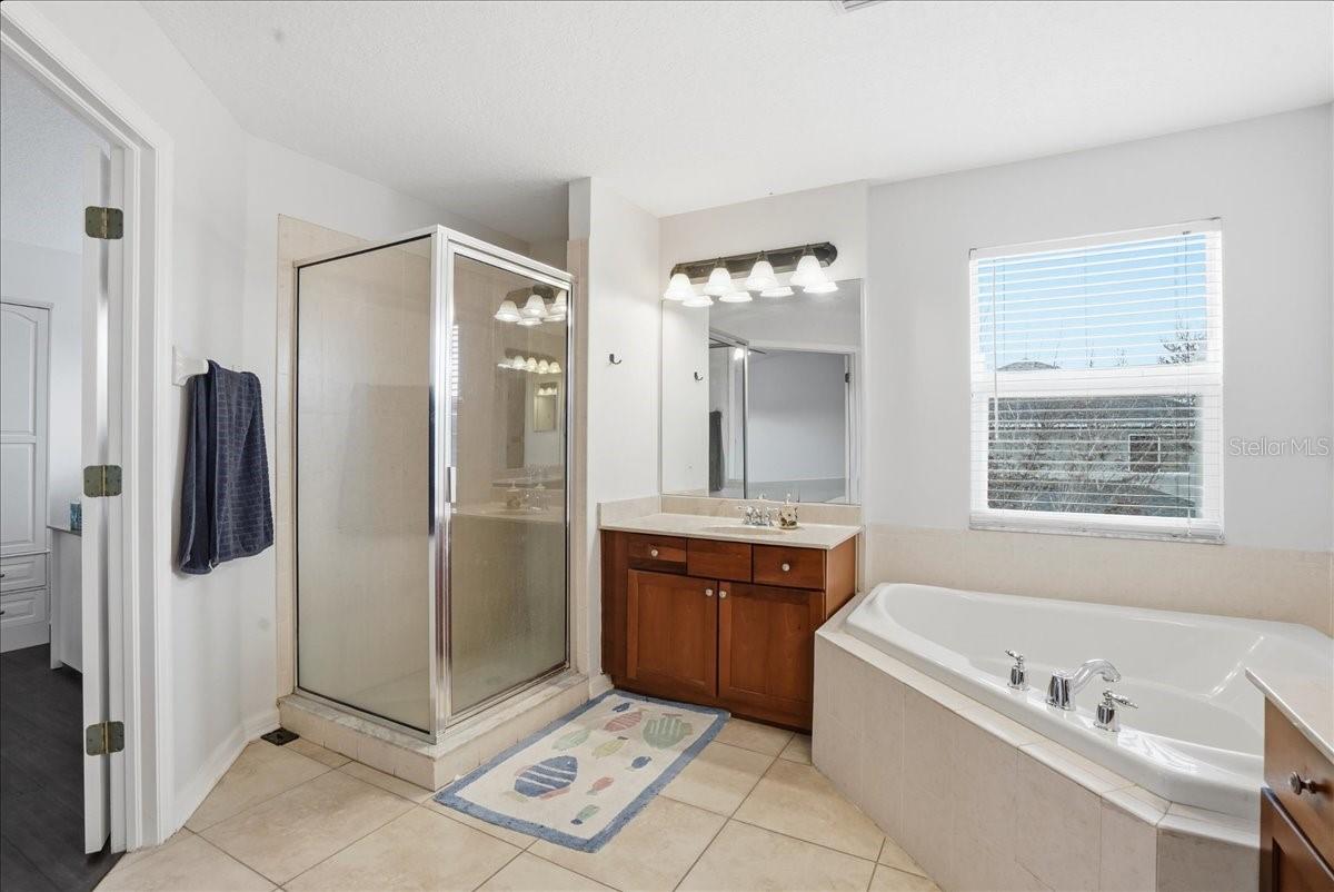 7860 ATWOOD DR, WESLEY CHAPEL, FL, 33545