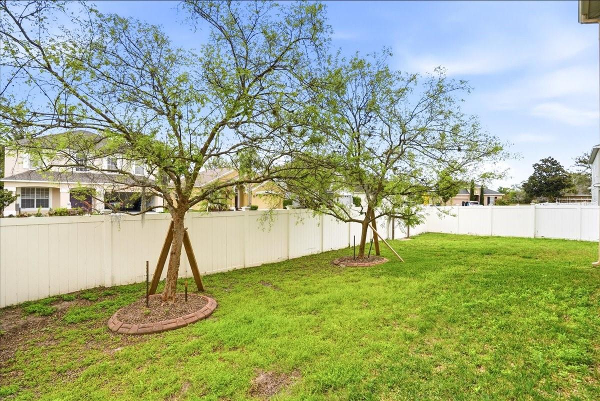 7860 ATWOOD DR, WESLEY CHAPEL, FL, 33545