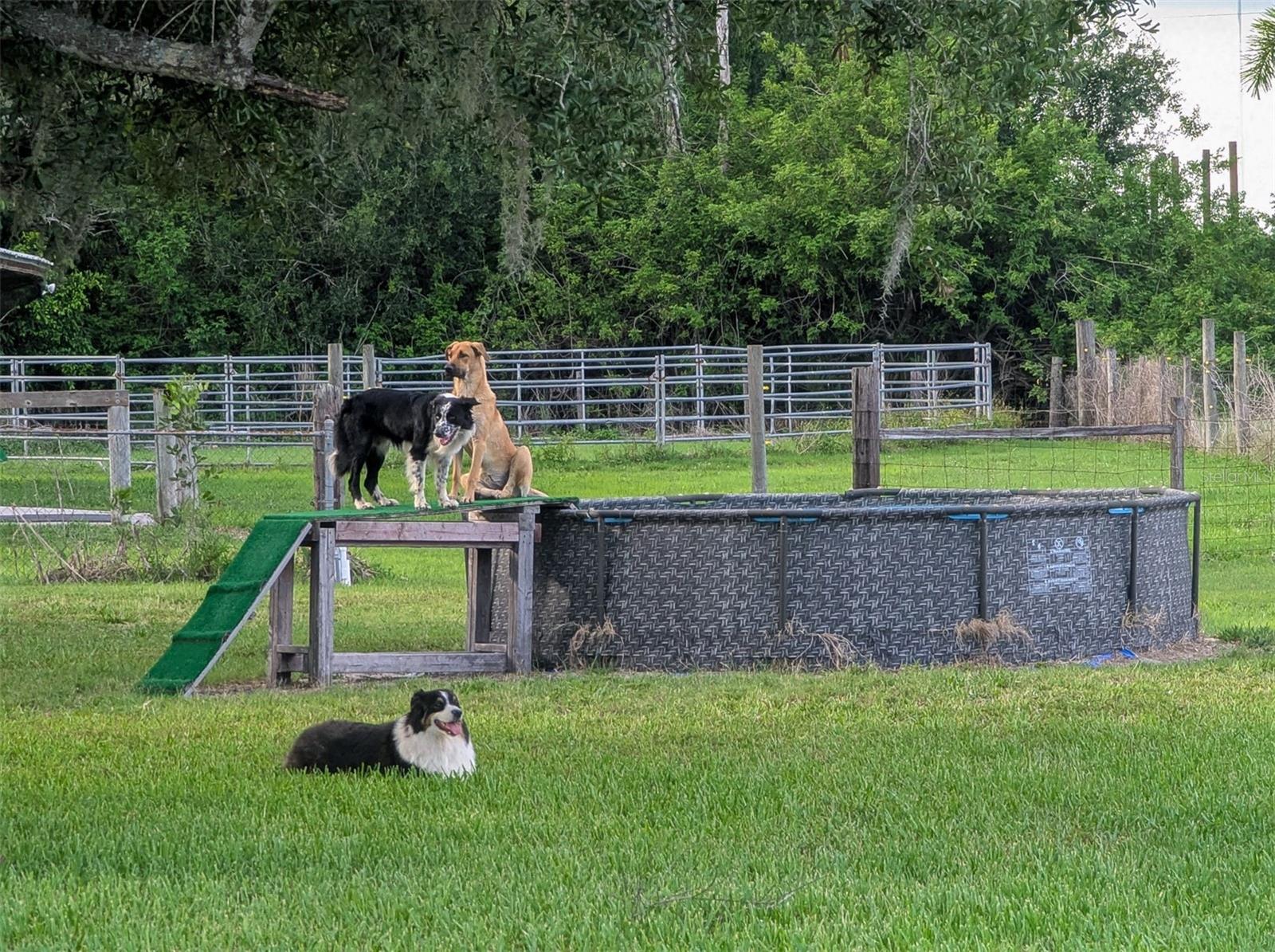 11291 DEAL RD, NORTH FORT MYERS, FL, 33917