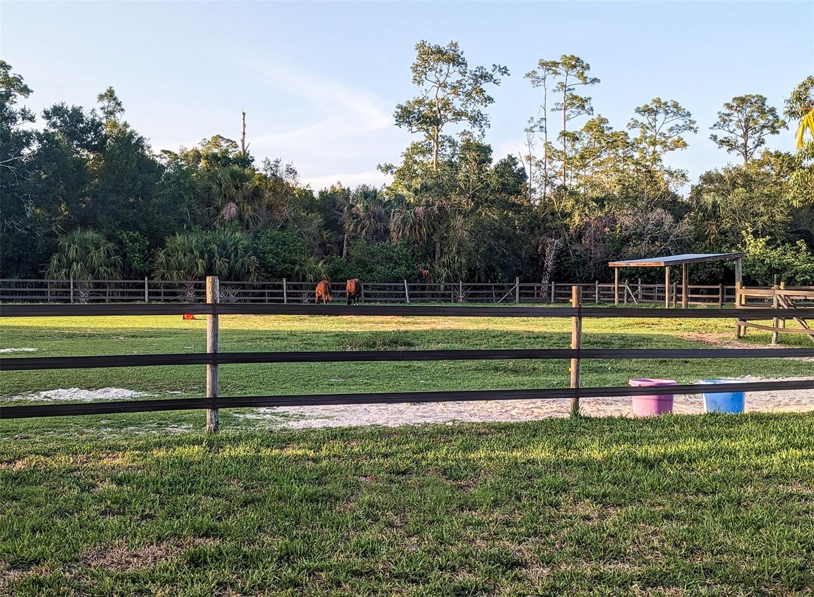 11291 DEAL RD, NORTH FORT MYERS, FL, 33917