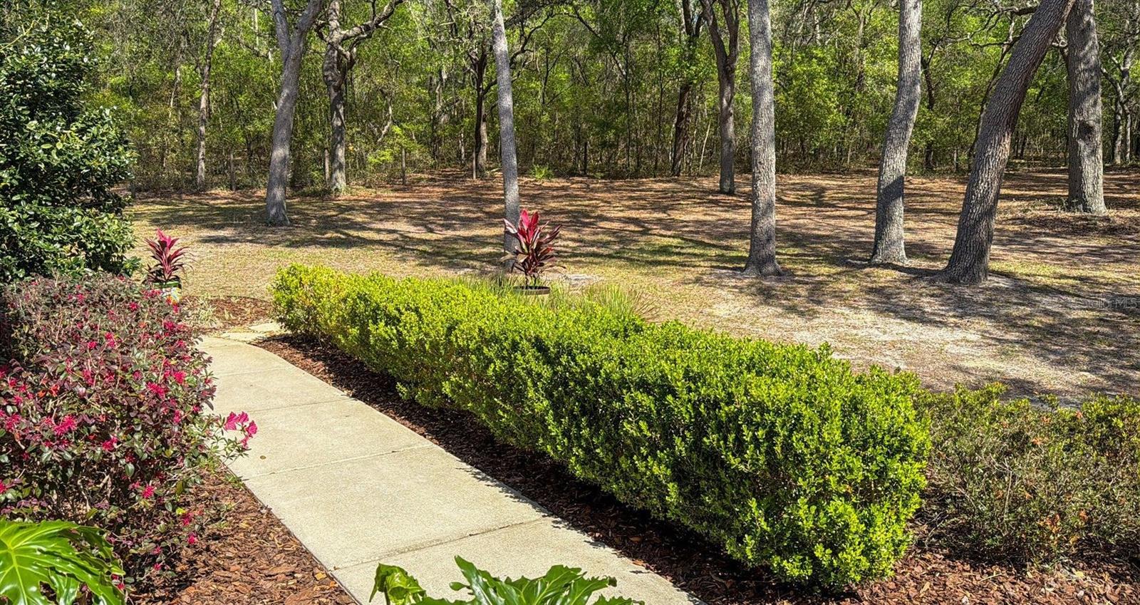 103 DEEP LAKE TRL, MELROSE, FL, 32666