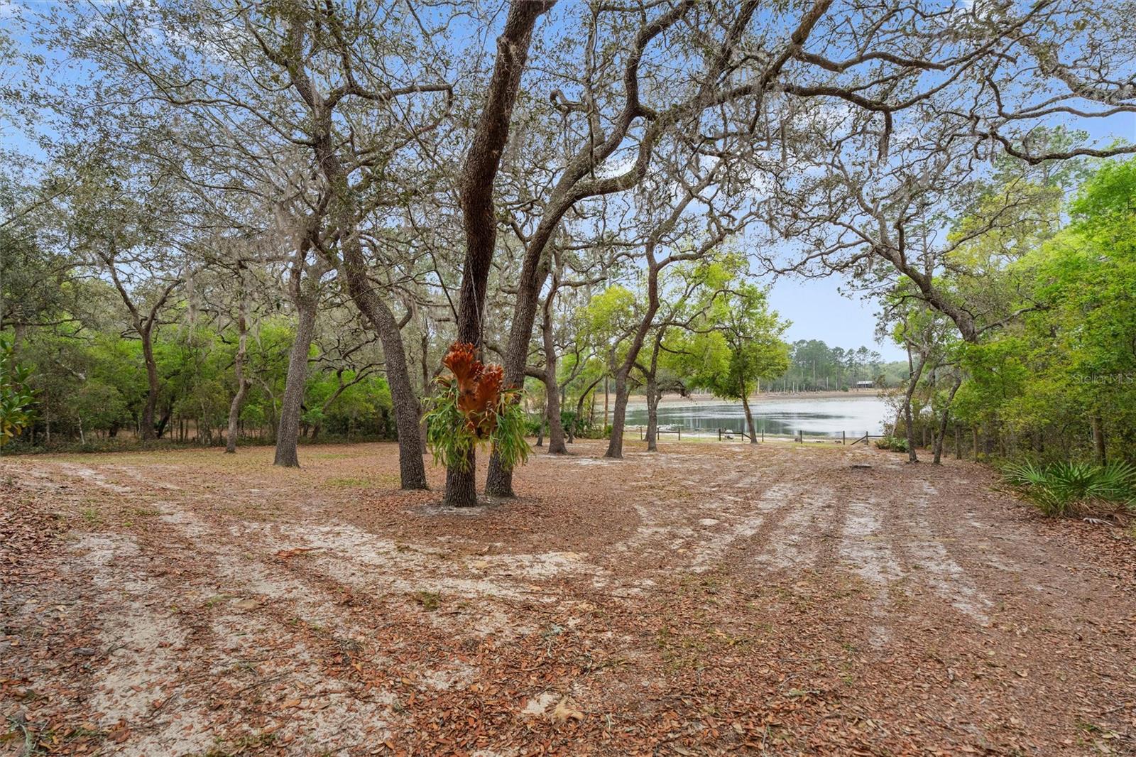 103 DEEP LAKE TRL, MELROSE, FL, 32666