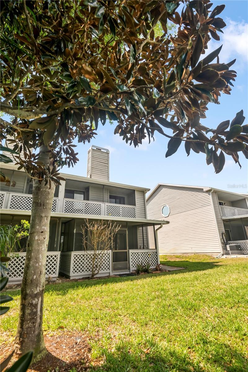 321 ORANGE BLOSSOM DR, WINTER HAVEN, FL, 33880