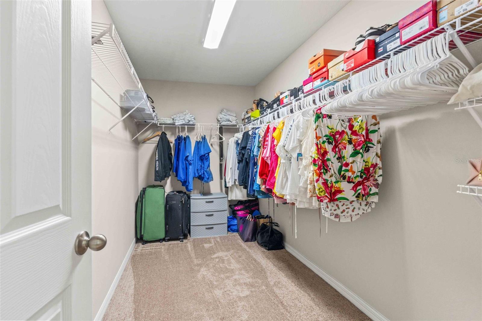 7512 WALLFLOWER TRL, WESLEY CHAPEL, FL, 33545