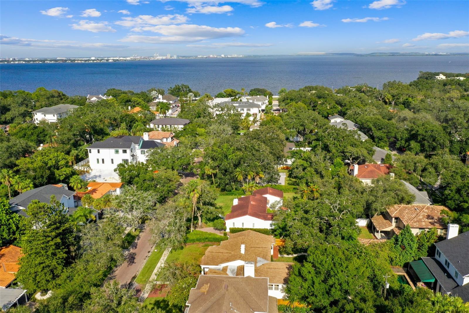 2918 W COACHMAN AVE, TAMPA, FL, 33611
