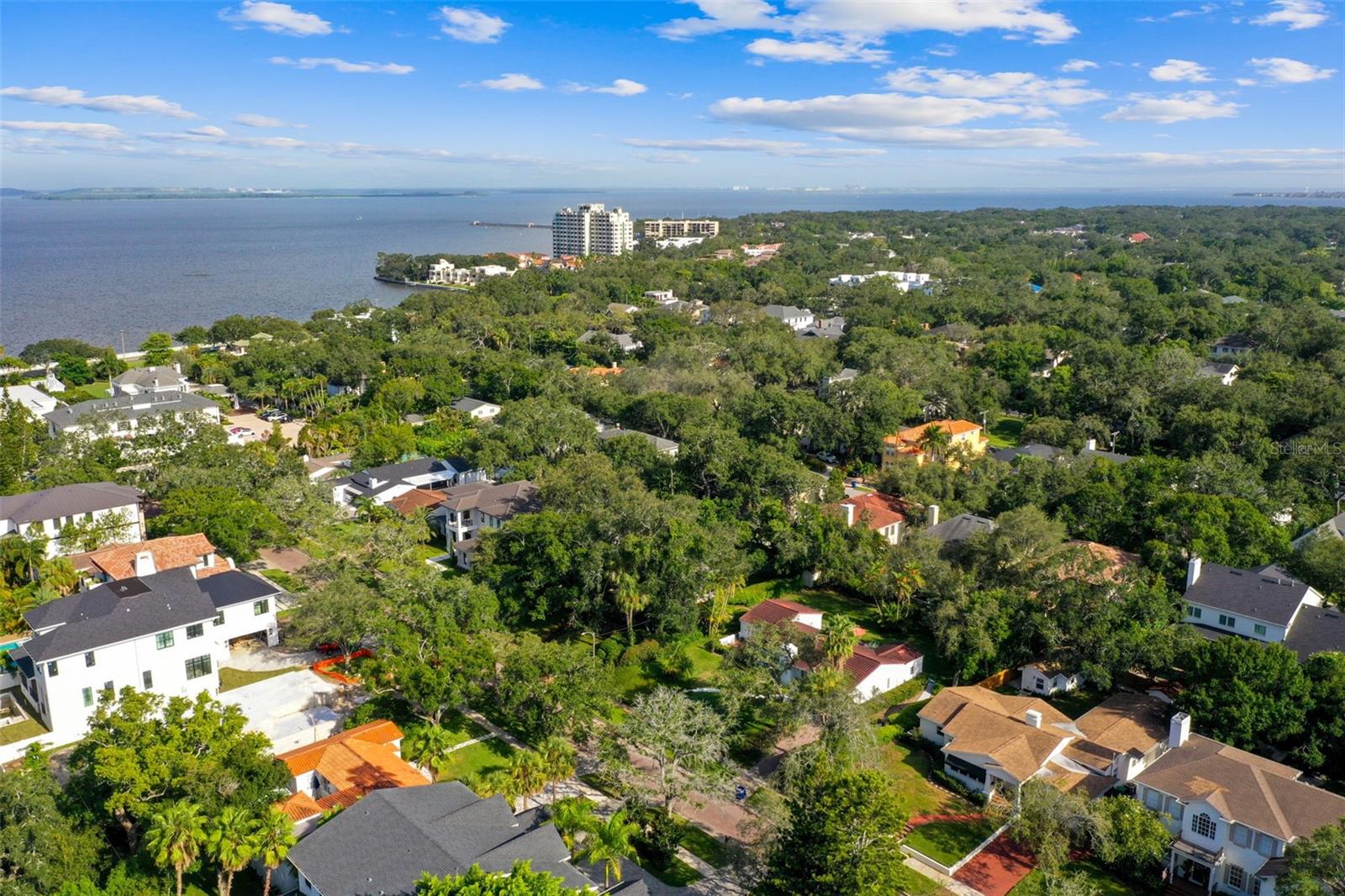 2918 W COACHMAN AVE, TAMPA, FL, 33611