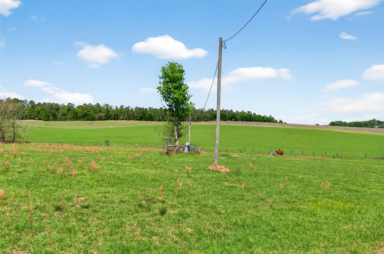 0 HILLTOP HORIZONS PL, DADE CITY, FL, 33523