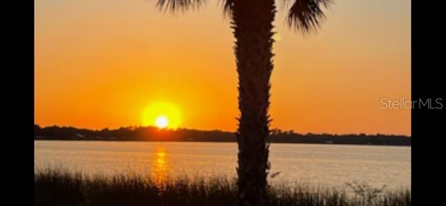 17610 SAWGRASS RUN, TAVARES, FL, 32778