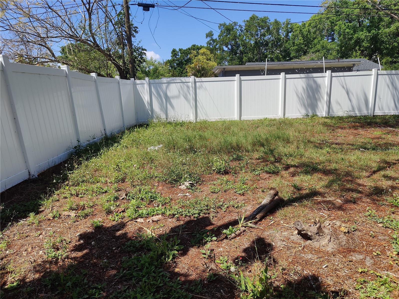 Backyard View Different View