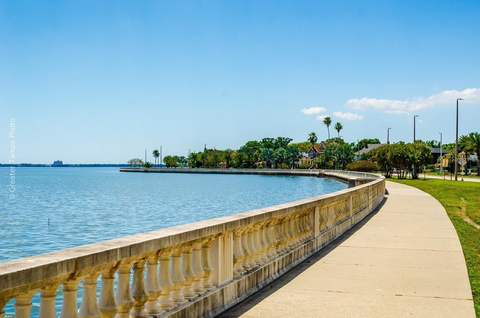 345 BAYSHORE BLVD #609, TAMPA, FL, 33606