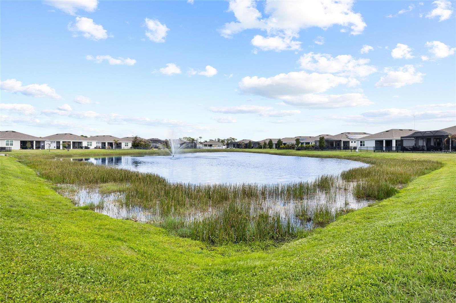 13204 WATERLEAF GARDEN CIR, RIVERVIEW, FL, 33579