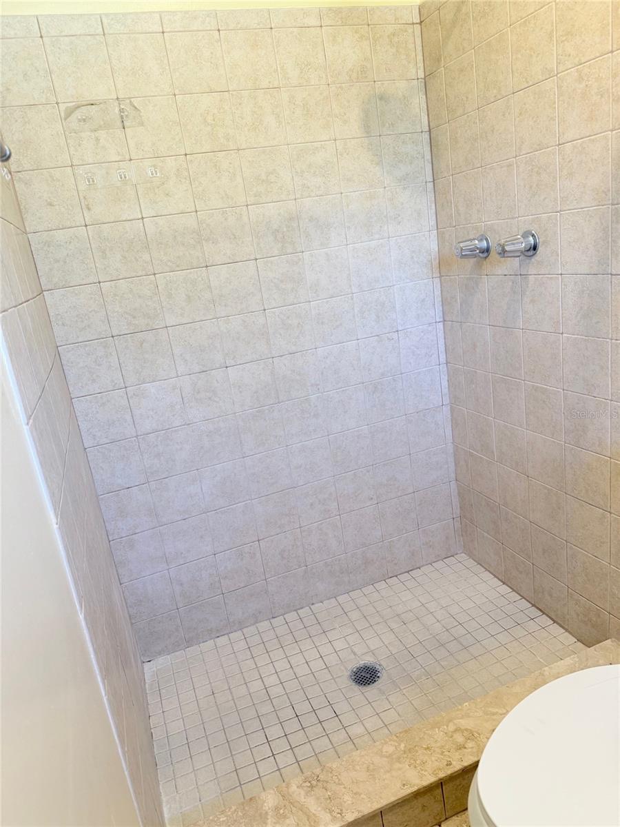 1219 JULIAN LANE DR, TAMPA, FL, 33619