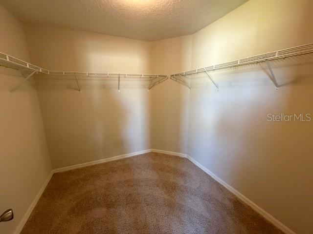 1037 AUGUSTUS DR, DAVENPORT, FL, 33896