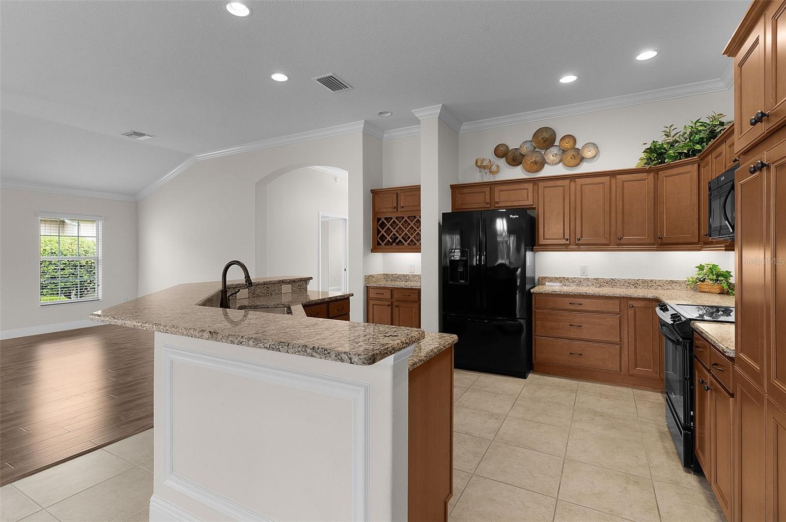 2028 GLENARDEN PATH, THE VILLAGES, FL, 32163