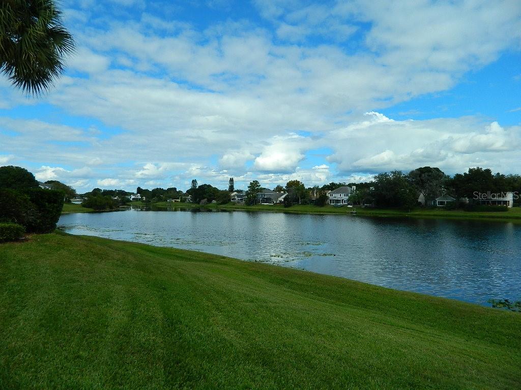 2593 GRASSY POINT DR #205, LAKE MARY, FL, 32746