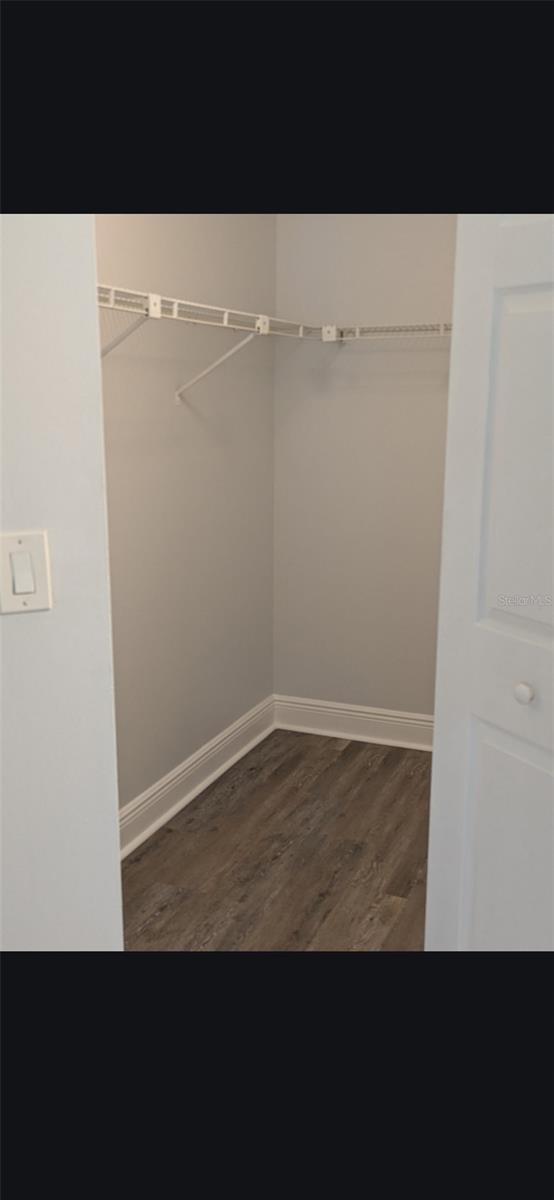 2593 GRASSY POINT DR #205, LAKE MARY, FL, 32746