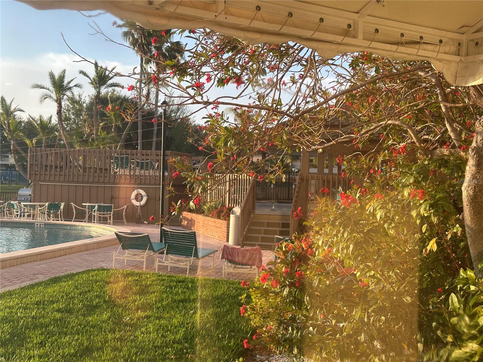 10355 PARADISE BLVD #414, TREASURE ISLAND, FL, 33706