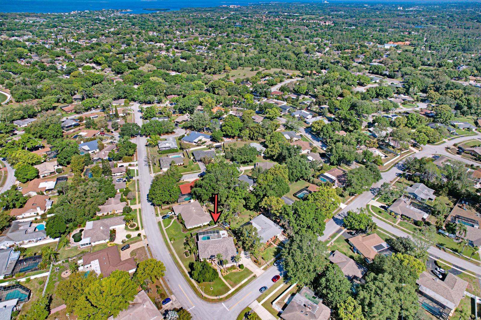 75 WOODCUTTER LN, PALM HARBOR, FL, 34683