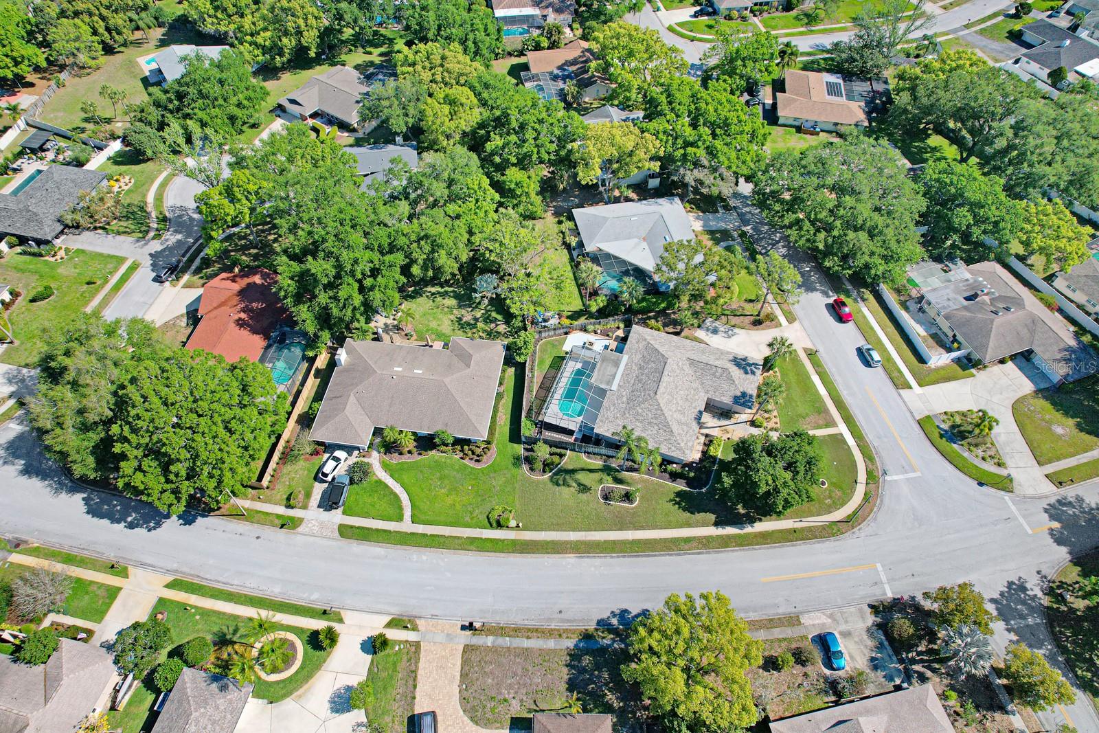75 WOODCUTTER LN, PALM HARBOR, FL, 34683