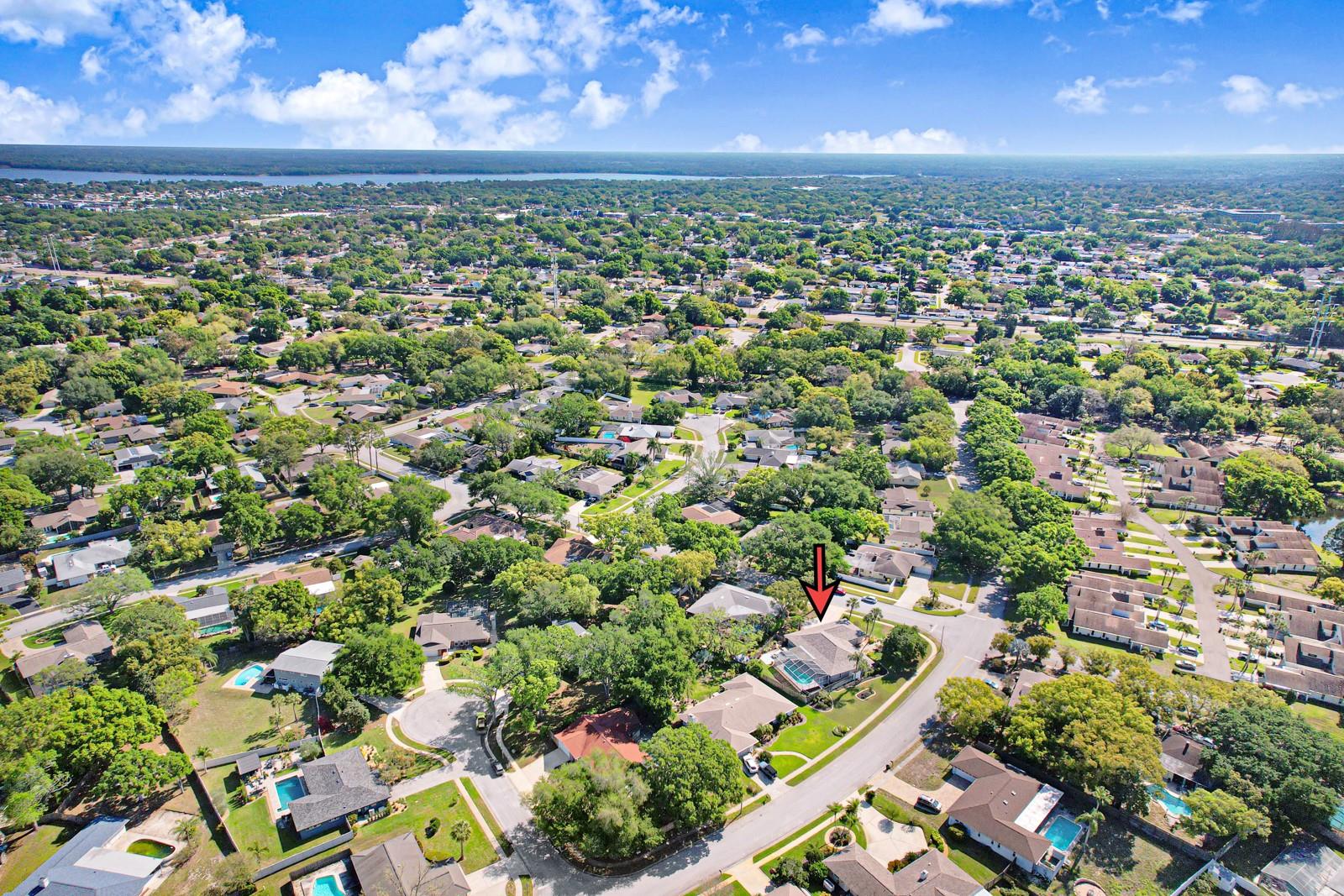 75 WOODCUTTER LN, PALM HARBOR, FL, 34683