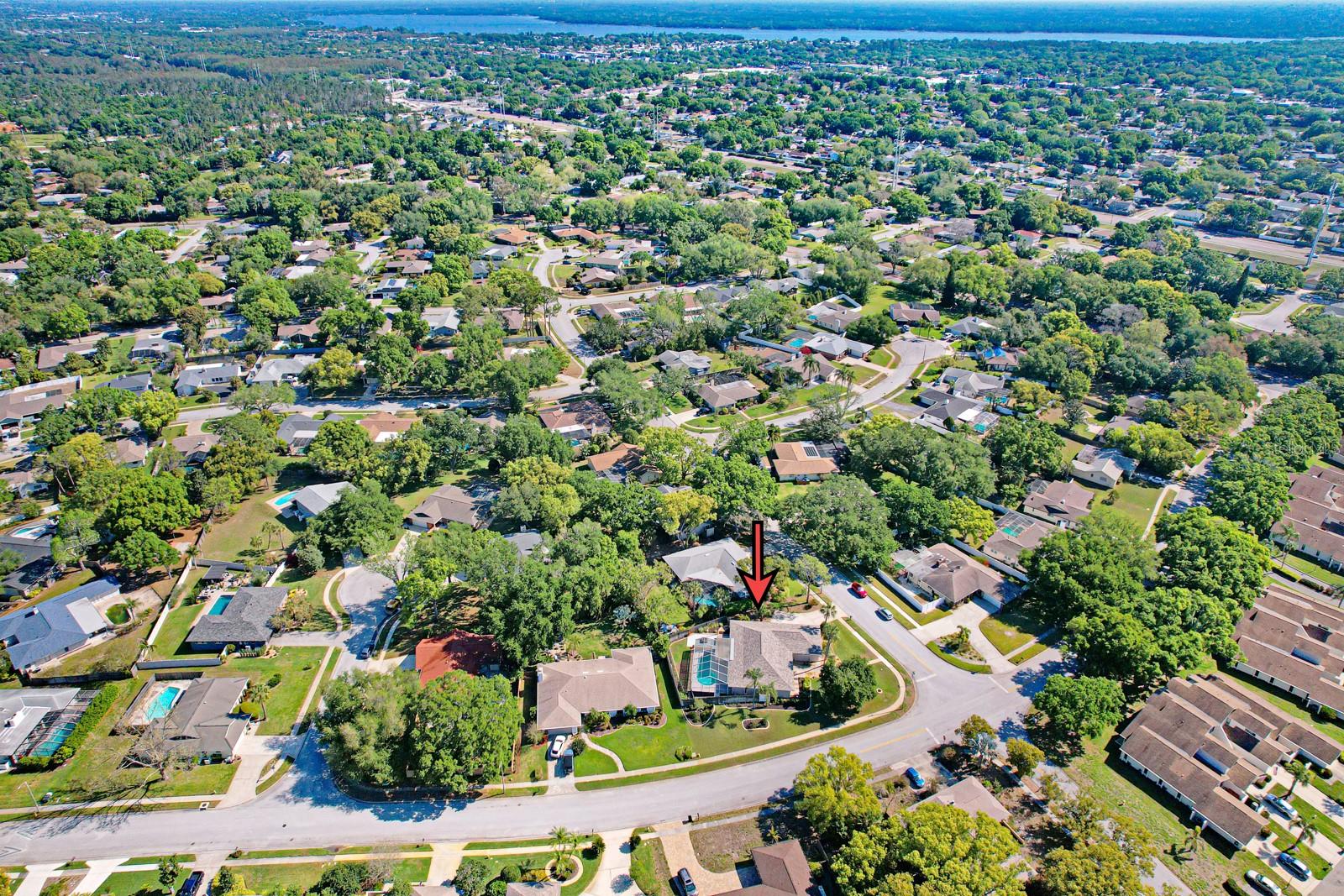 75 WOODCUTTER LN, PALM HARBOR, FL, 34683