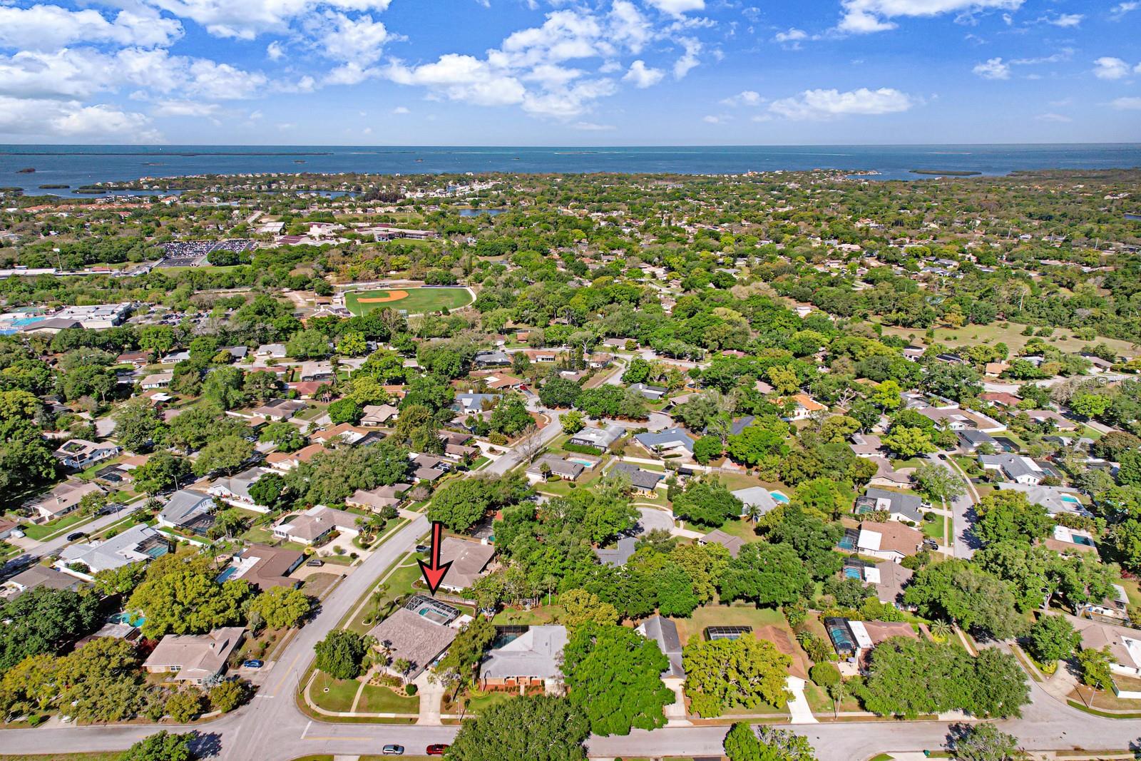 75 WOODCUTTER LN, PALM HARBOR, FL, 34683
