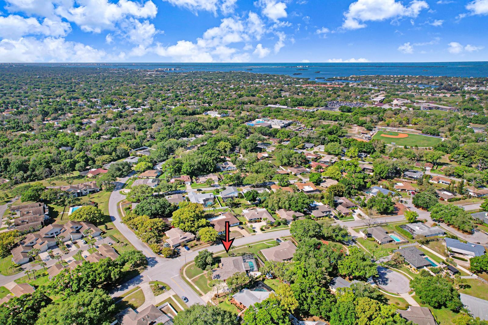 75 WOODCUTTER LN, PALM HARBOR, FL, 34683