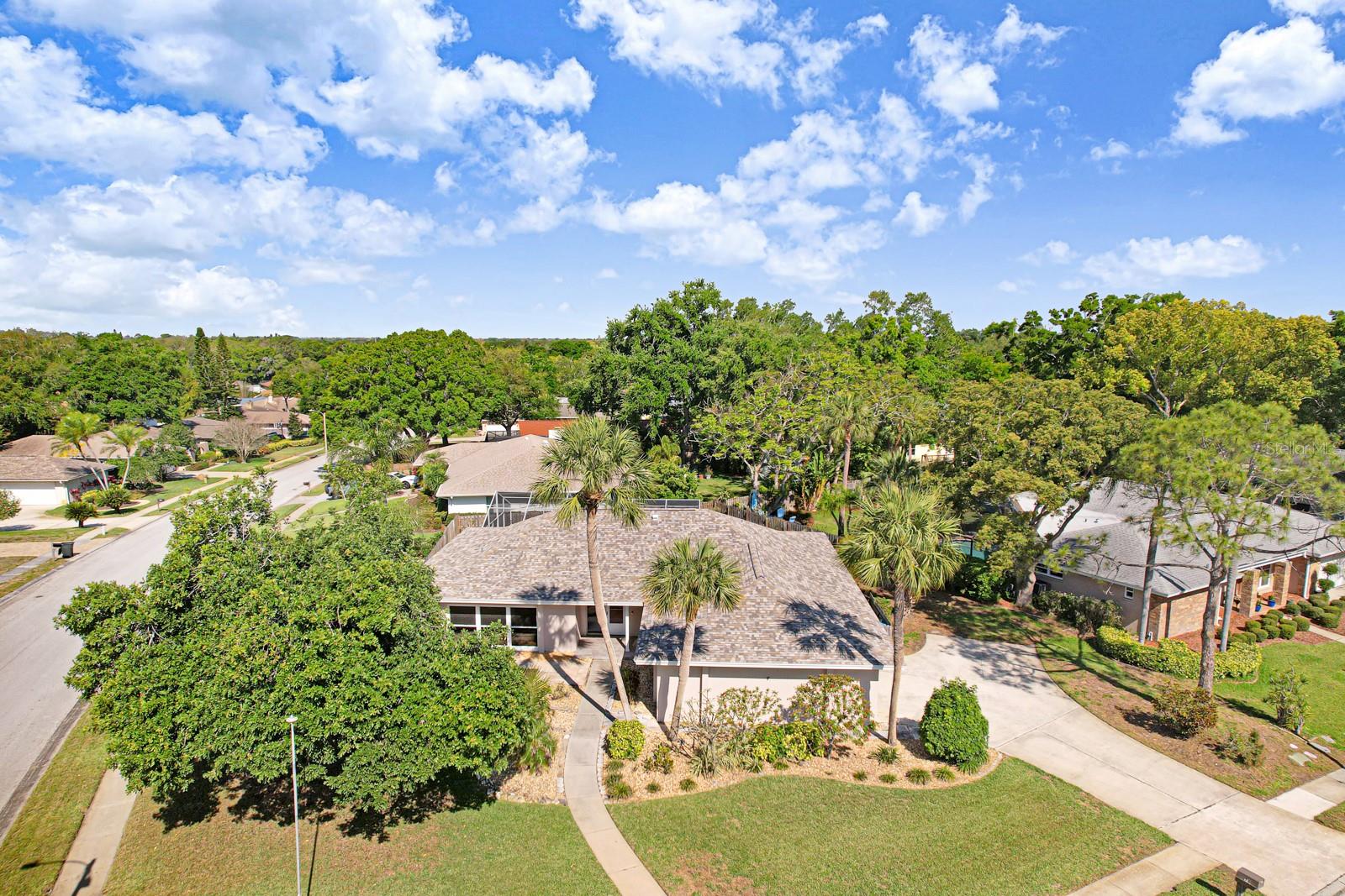 75 WOODCUTTER LN, PALM HARBOR, FL, 34683