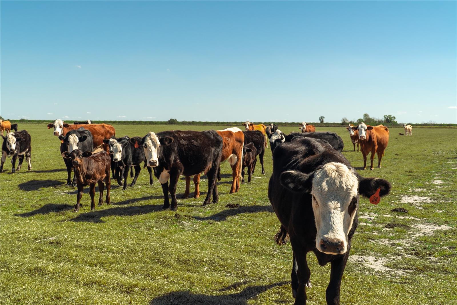 1200 ARBUCKLE BRANCH RD, SEBRING, FL, 33870