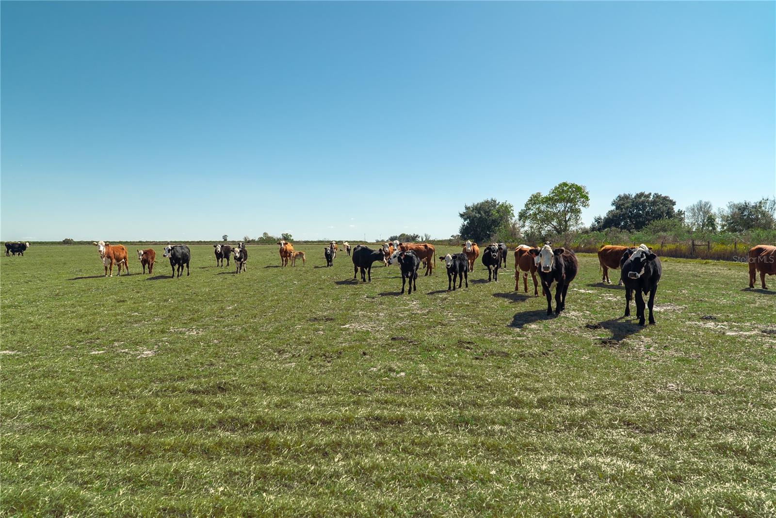 1200 ARBUCKLE BRANCH RD, SEBRING, FL, 33870