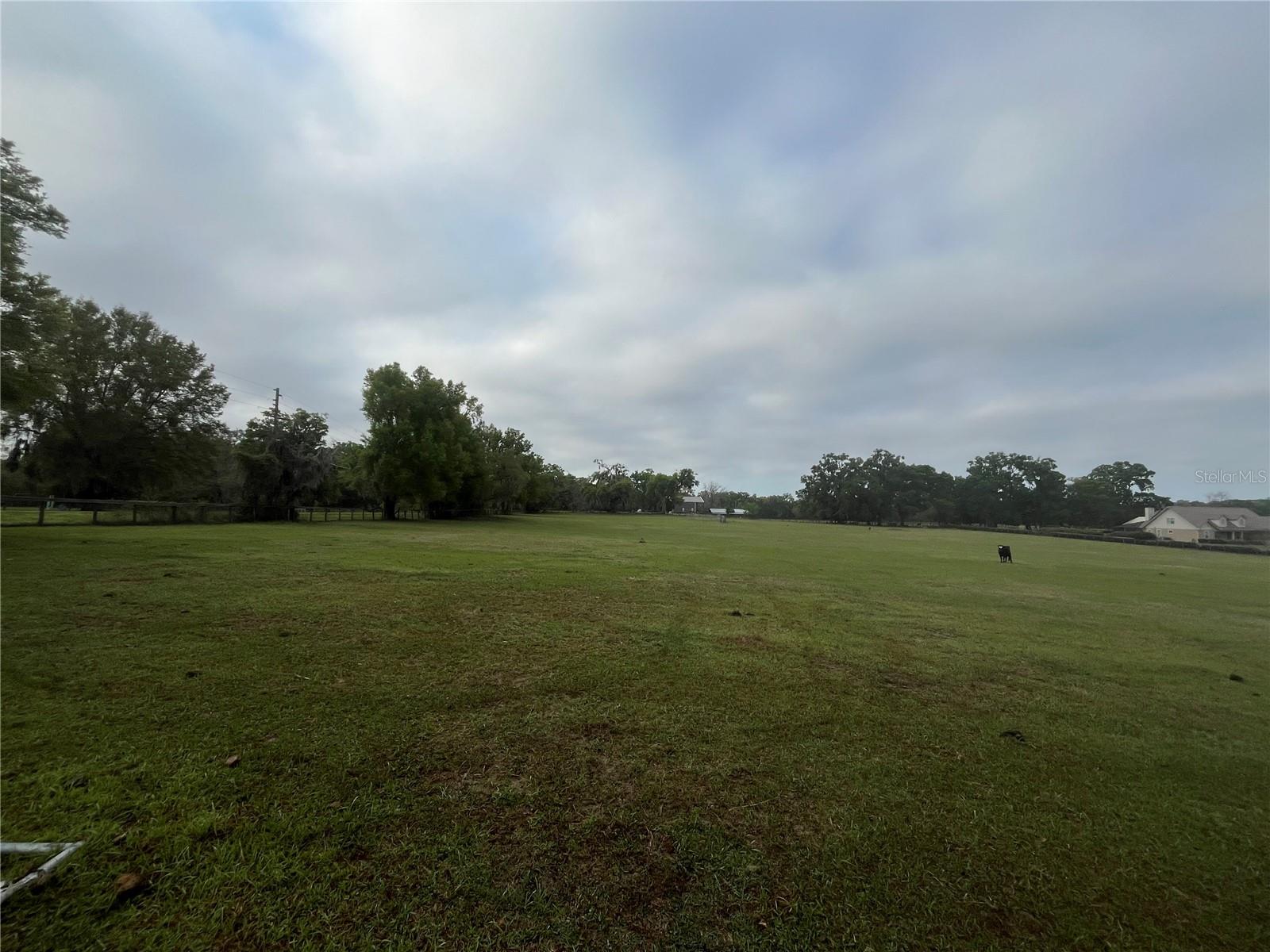 TBD NE 106TH ST, ANTHONY, FL, 32617