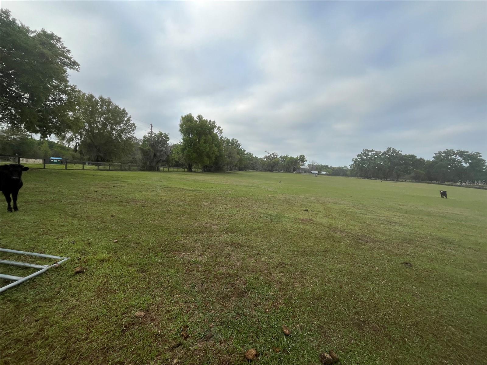 TBD NE 106TH ST, ANTHONY, FL, 32617