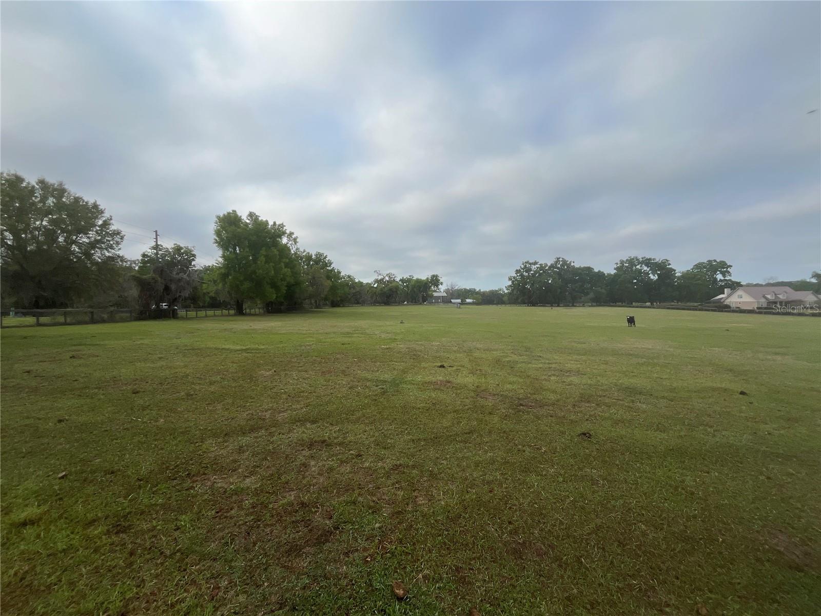 TBD NE 106TH ST, ANTHONY, FL, 32617