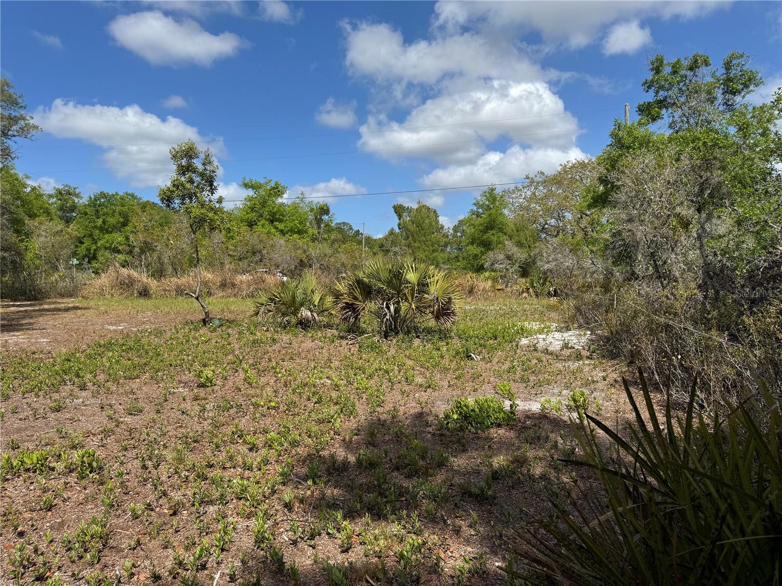 1873 W FOXGLOVE RD, AVON PARK, FL, 33825