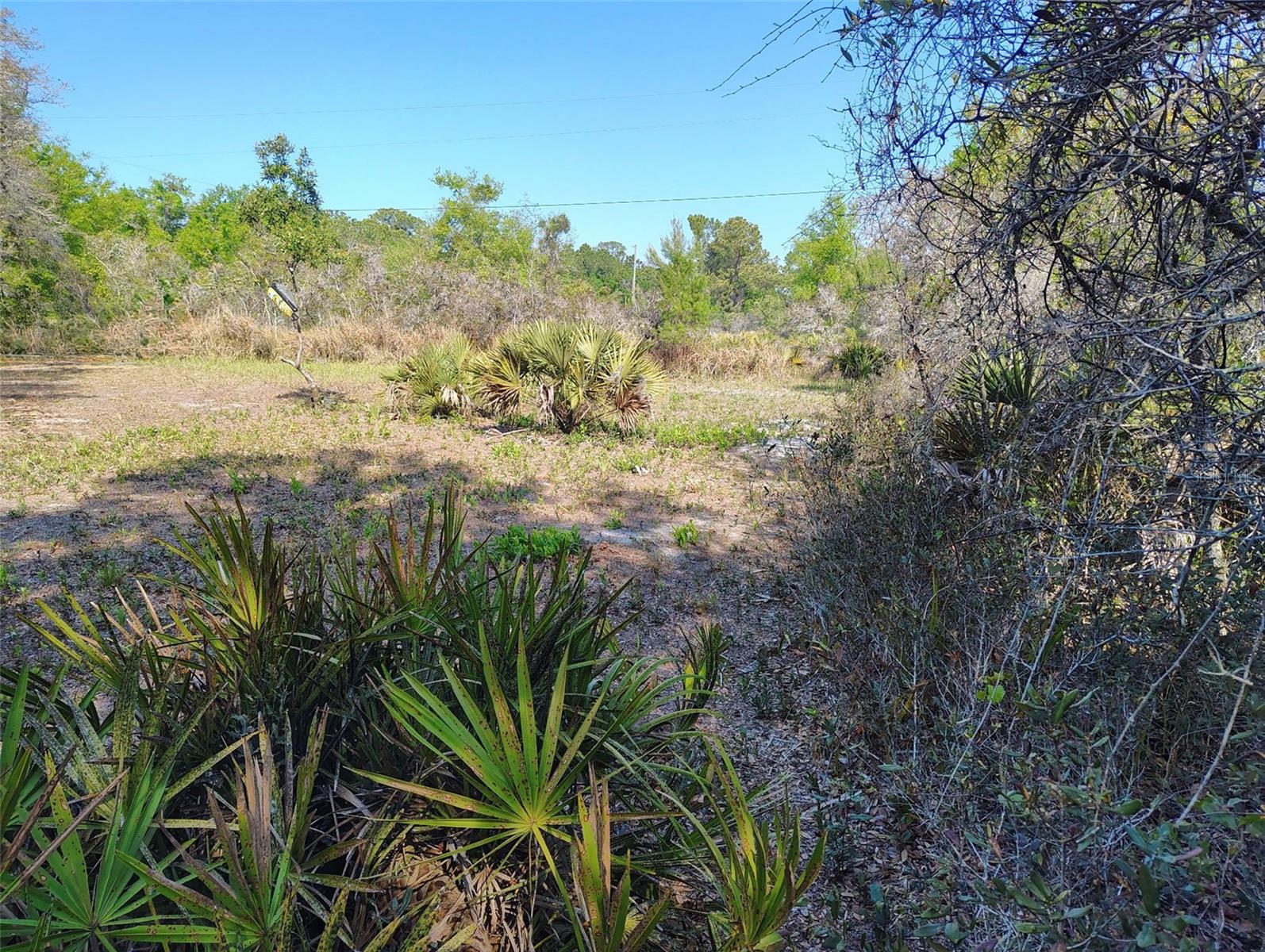 1873 W FOXGLOVE RD, AVON PARK, FL, 33825