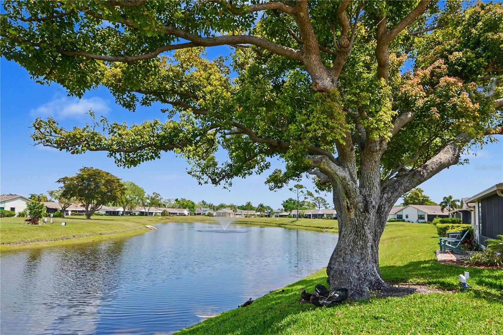 6220 29TH AVE W #6220, BRADENTON, FL, 34209