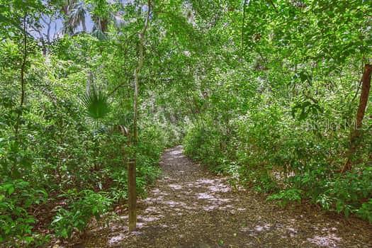 2115 PHILIPPE PKWY, SAFETY HARBOR, FL, 34695