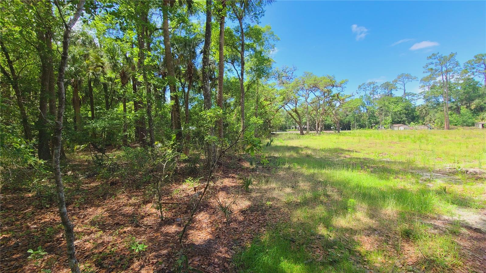 1013 CUPID AVE, CHRISTMAS, FL, 32709