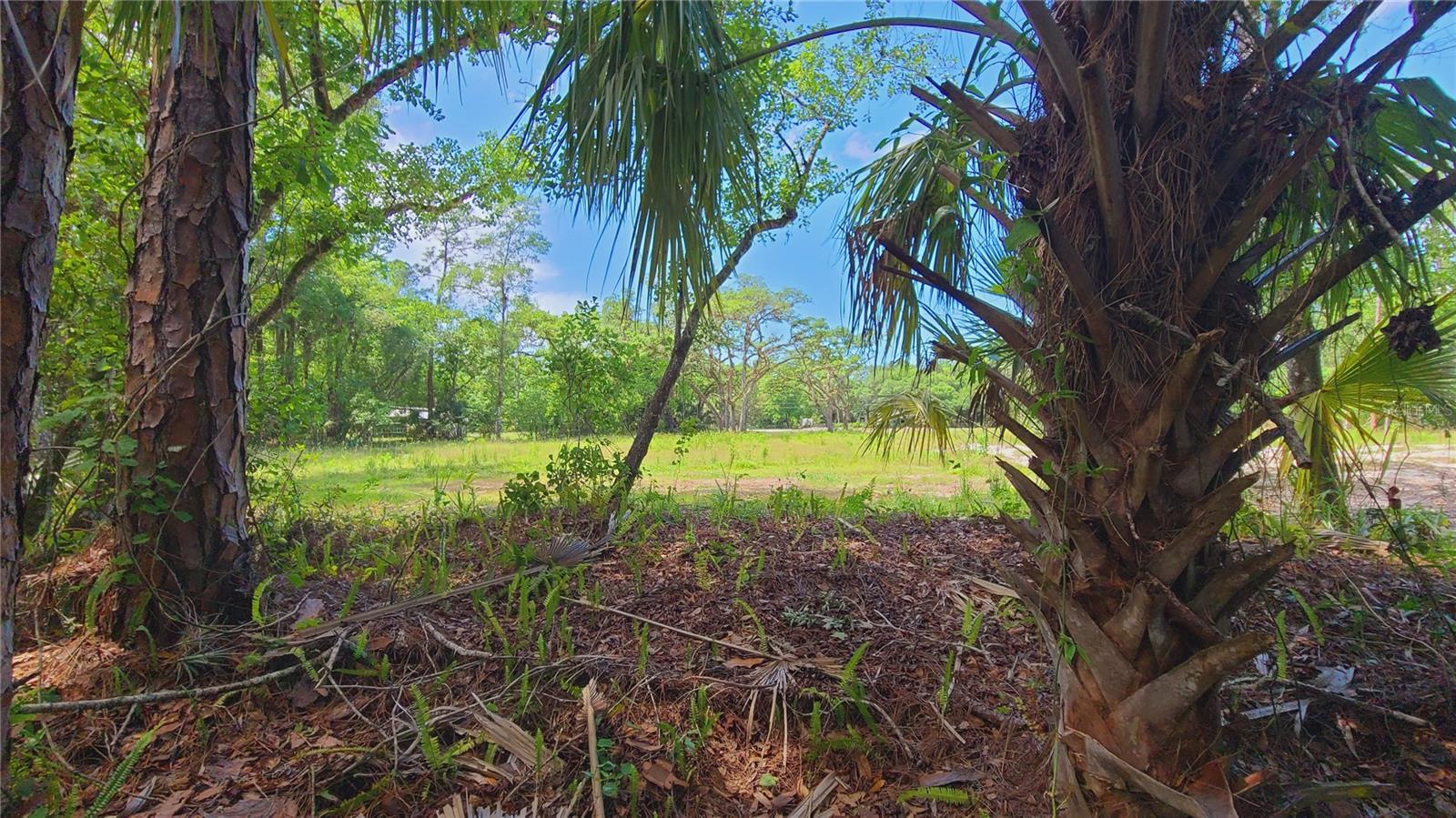 1013 CUPID AVE, CHRISTMAS, FL, 32709