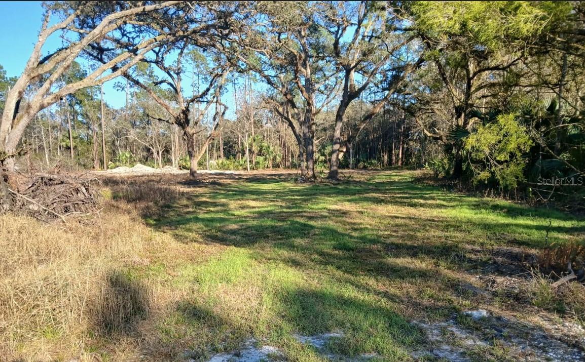 1013 CUPID AVE, CHRISTMAS, FL, 32709