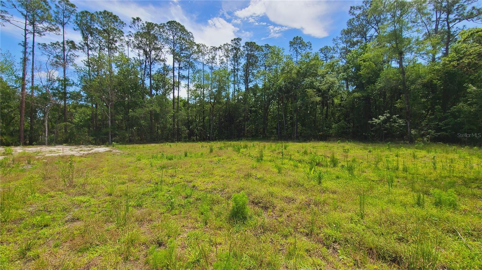 1013 CUPID AVE, CHRISTMAS, FL, 32709