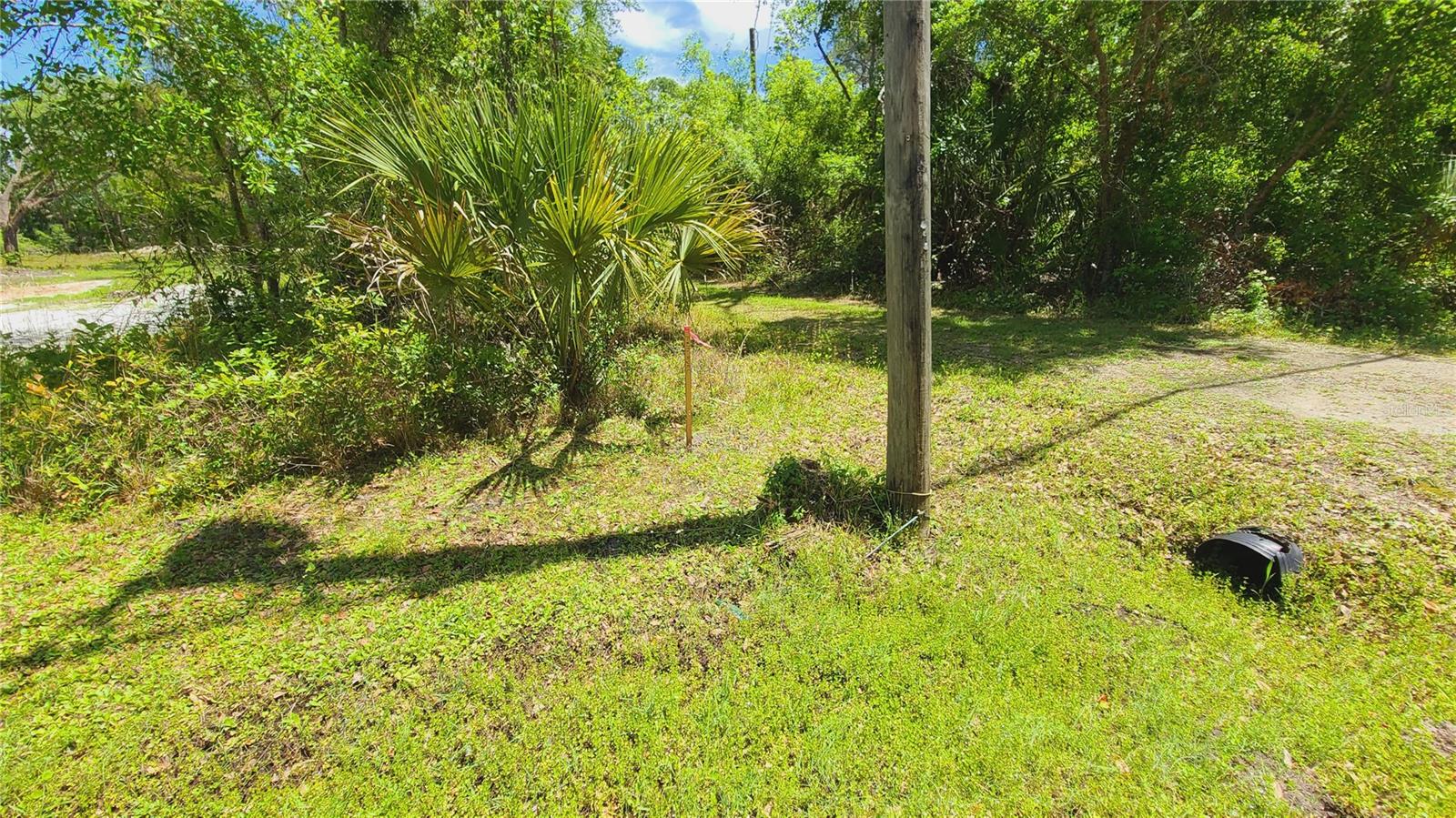 1013 CUPID AVE, CHRISTMAS, FL, 32709