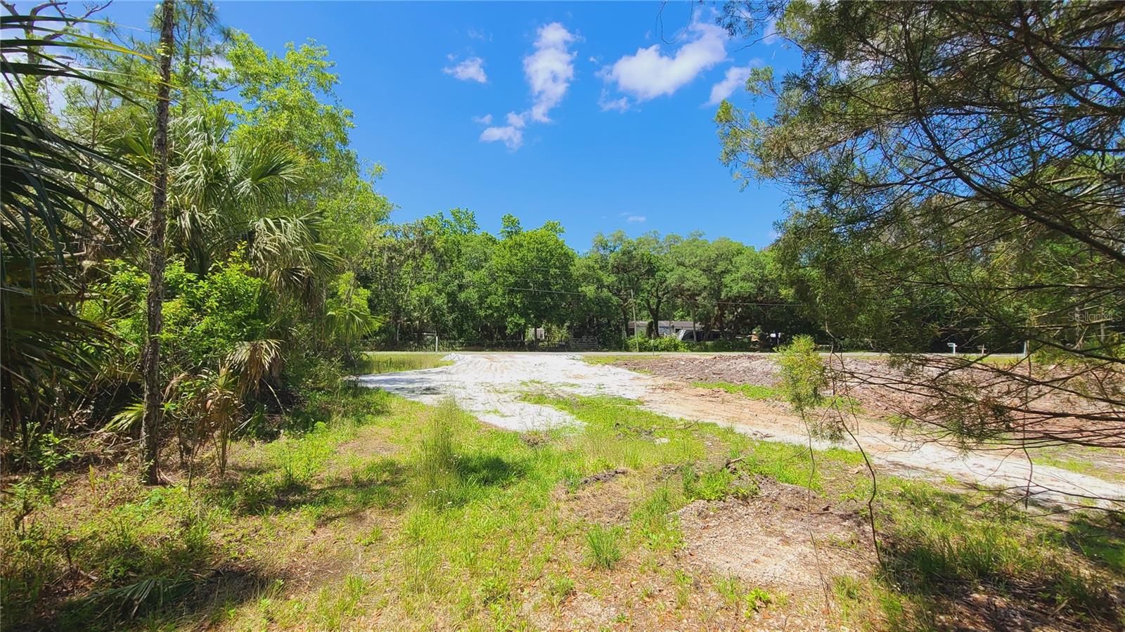1013 CUPID AVE, CHRISTMAS, FL, 32709