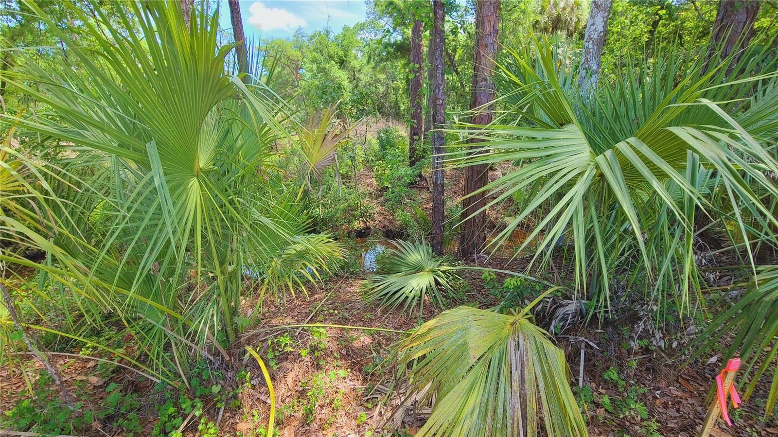 1013 CUPID AVE, CHRISTMAS, FL, 32709