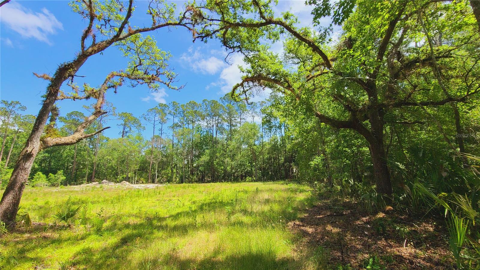 1013 CUPID AVE, CHRISTMAS, FL, 32709