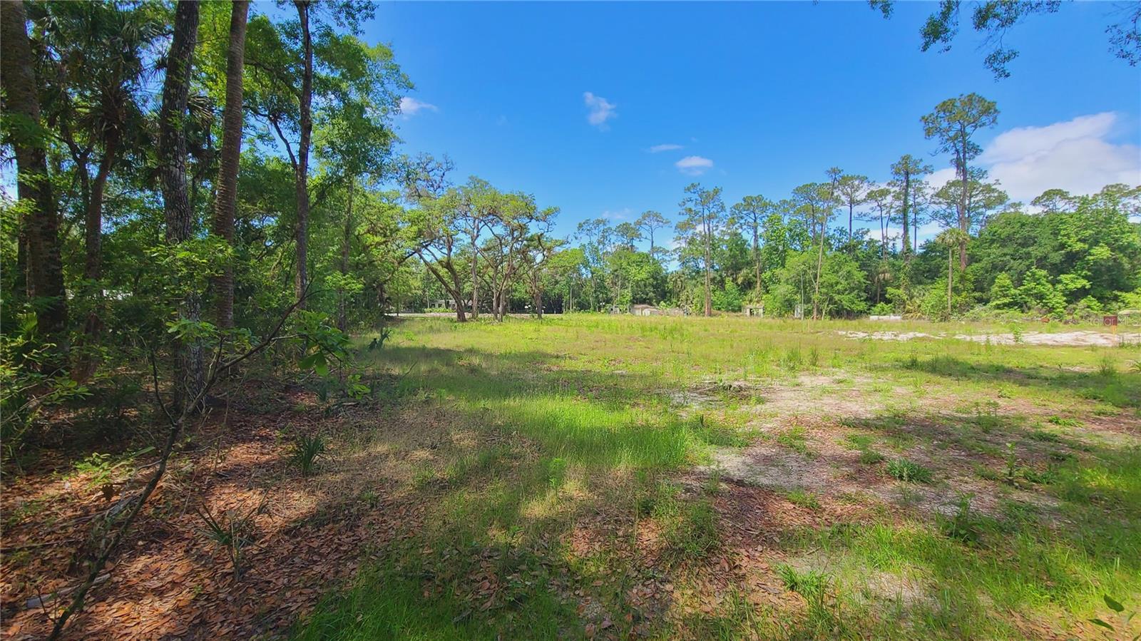 1013 CUPID AVE, CHRISTMAS, FL, 32709