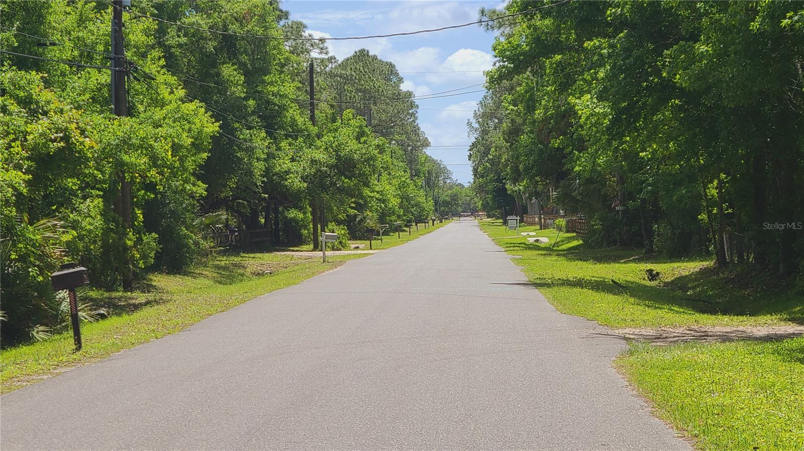 1013 CUPID AVE, CHRISTMAS, FL, 32709