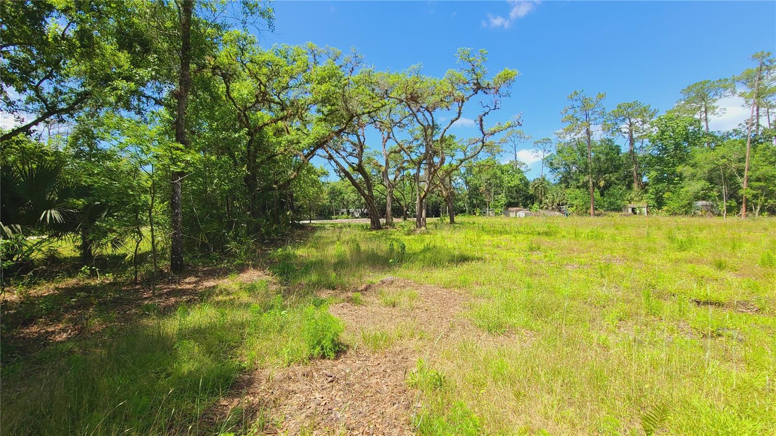 1013 CUPID AVE, CHRISTMAS, FL, 32709