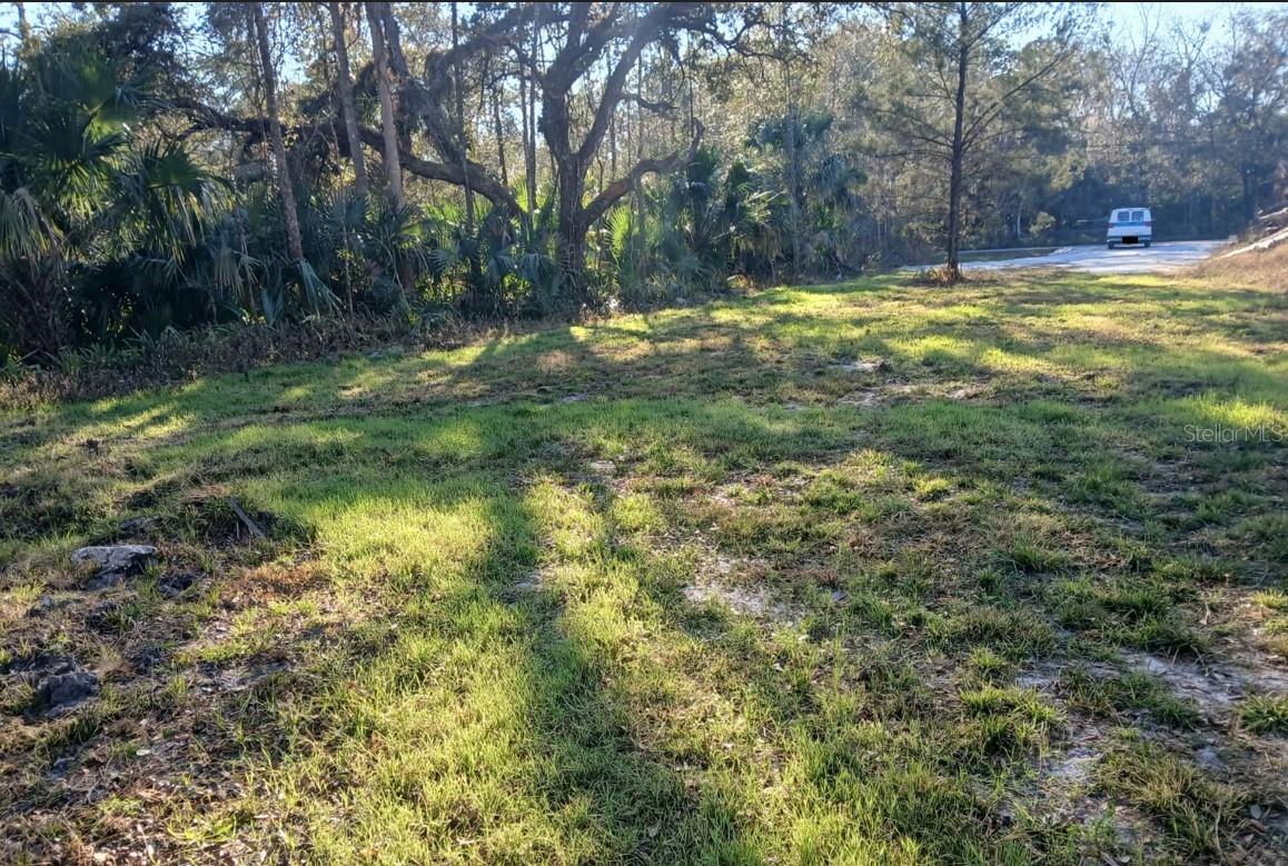 1013 CUPID AVE, CHRISTMAS, FL, 32709